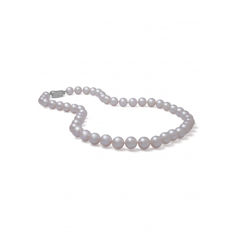 Must Have Japanese Akoya Pearls Necklace