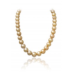 
									Precious South Sea Pearls Necklace